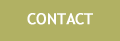 Conference Contact